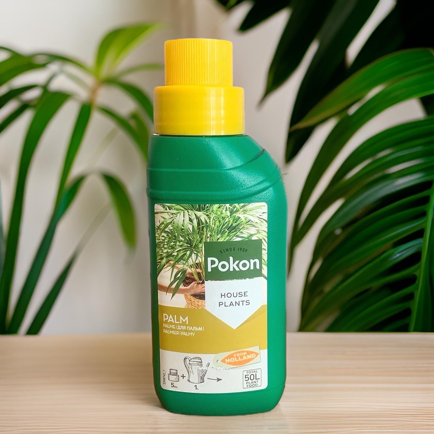 kentia palm plant food Pokon Palm Trees Food Fertilizer. Special Fertilizer for Palm Trees. Areca Palm Fertilizer. Kentia Palm Fertilizer. – ROUGE 'N' LOVE ™