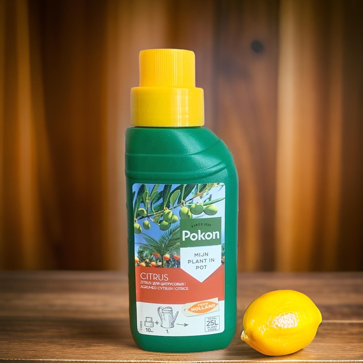 citrus fertilizer for potted plants Pokon Citrus Food Fertilizer. Special Fertilizer for Citrus Trees. – ROUGE 'N' LOVE ™