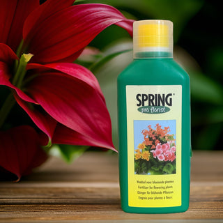 SPRING Flowering Plants Food | 500ml