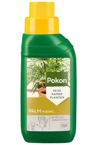 Pokon Palm Food | 250ml