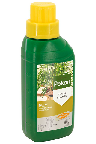 Pokon Palm Food | 250ml