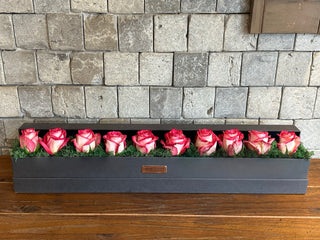 Blush Frame — Pink Veil Roses