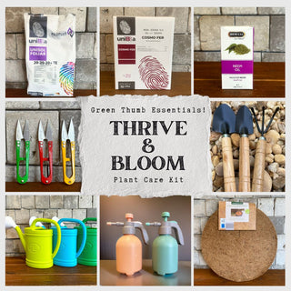 🌿 Thrive & Bloom Plant Care Kit