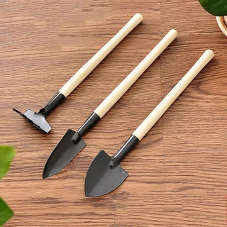 Bonsai mini gardening tools kit for planting, transplanting, and maintaining bonsai trees.