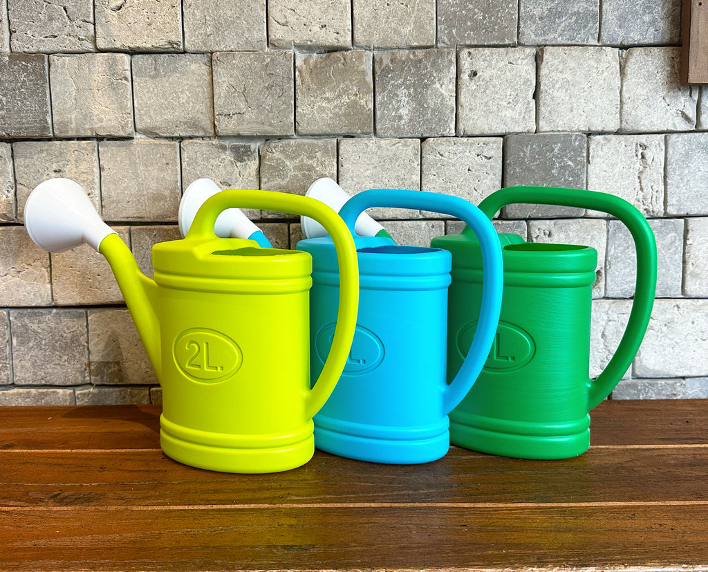 Qilebi Plants Watering Can with a detachable shower nozzle. high quality Plastics. Suitable Nozzle for hard-to-reach areas.