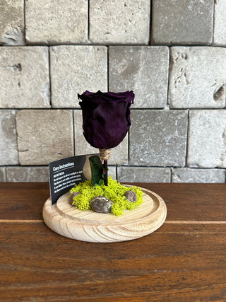 Royal Purple Infinite Rose *SM Vase*