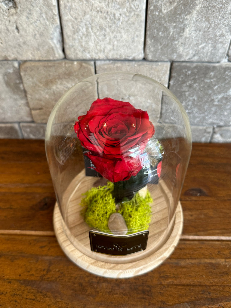 Infinite Roses – ROUGE ‘N’ LOVE