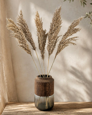 Natural dried pampas grass with soft feathery plumes in warm neutral tones