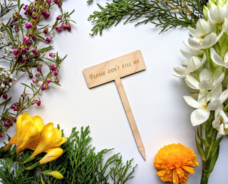 Plant care clinic with indoor plants and a wooden “Please Don’t Kill Me” sign
