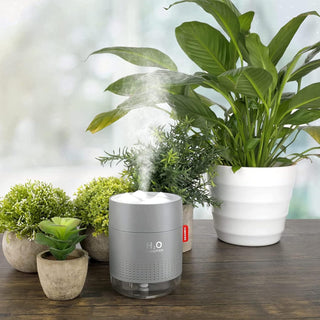 humidifier for plants indoor H2O Mini Cool-Mist Plants Humidifier – ROUGE 'N' LOVE ™