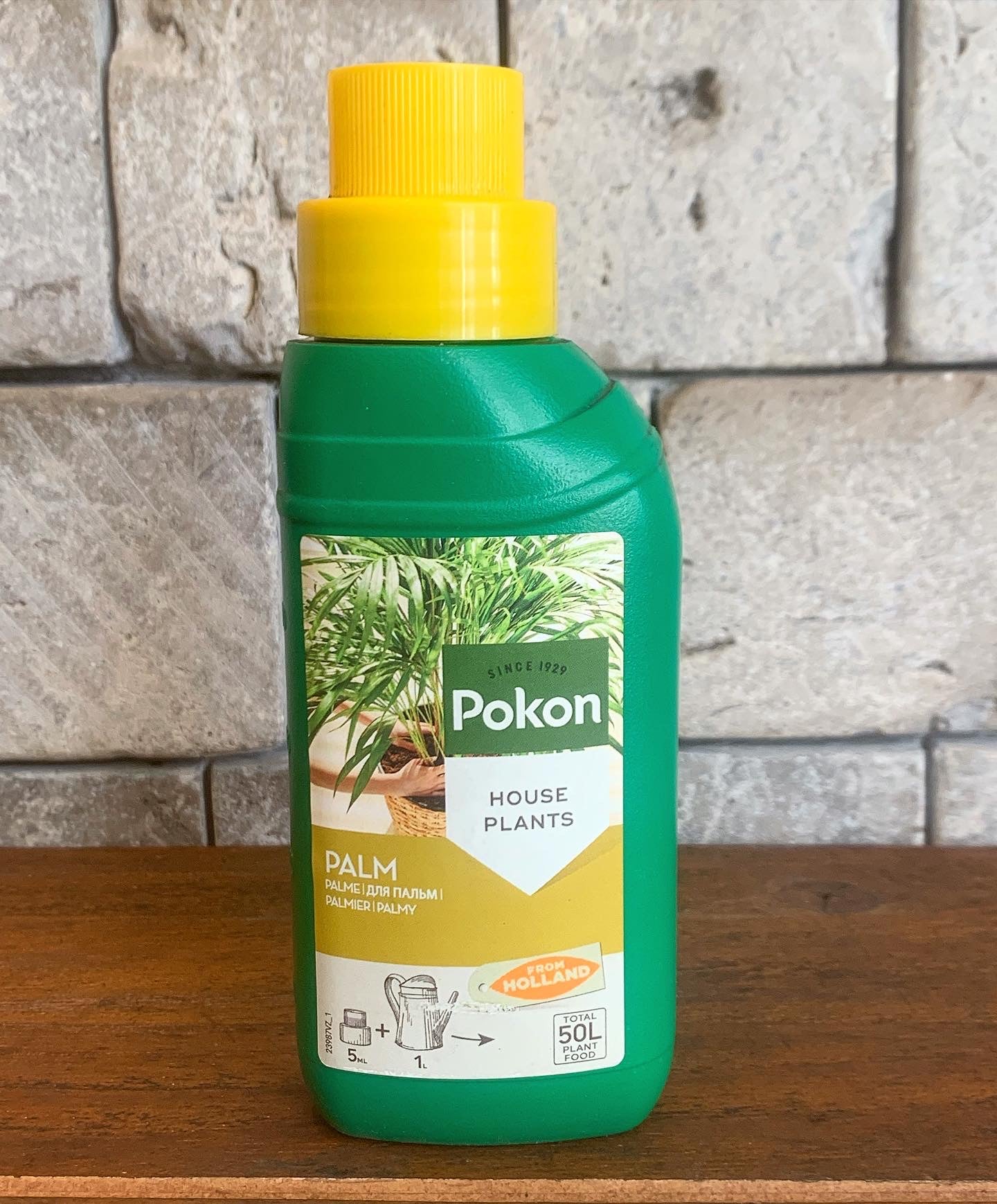 plant food for palm plants Pokon Palm Trees Food Fertilizer. Special Fertilizer for Palm Trees. Areca Palm Fertilizer. Kentia Palm Fertilizer. – ROUGE 'N' LOVE ™