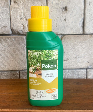 Pokon Palm Food