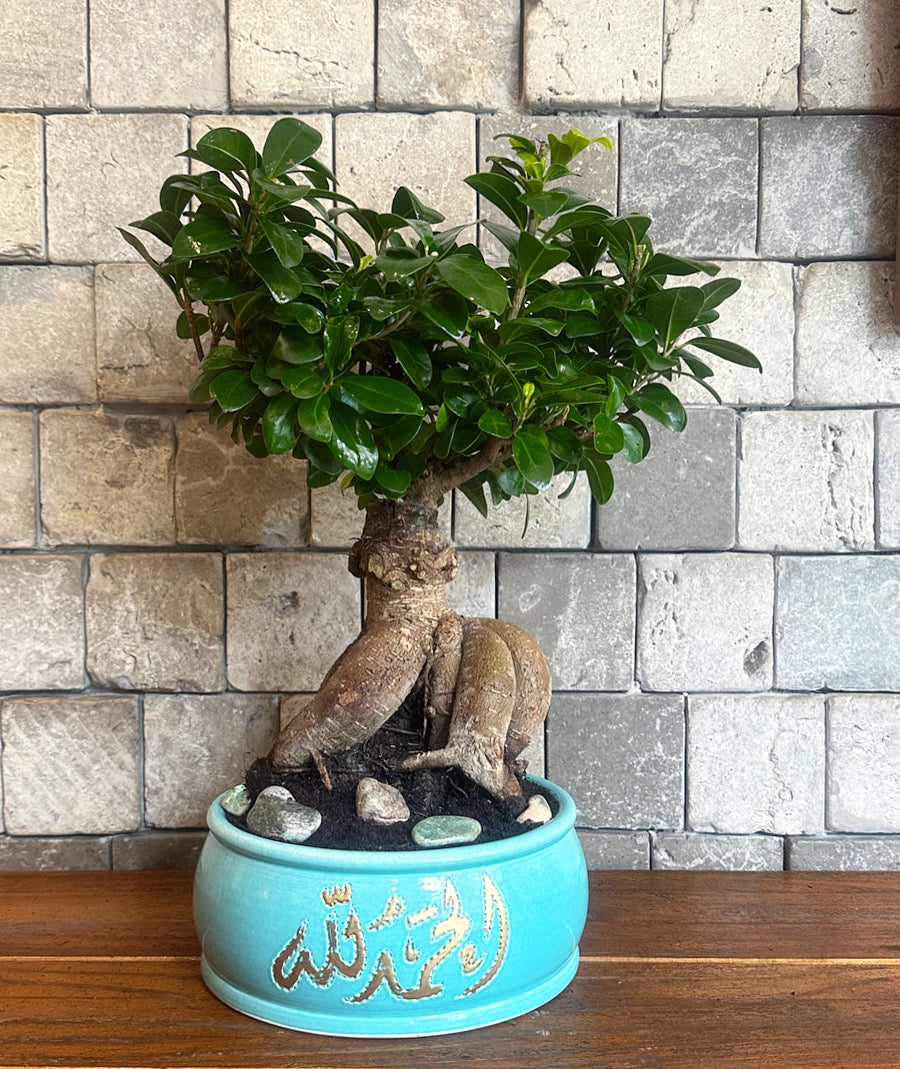 Turquoise Fortune Bonsai - ’Handmade Designer Collection’