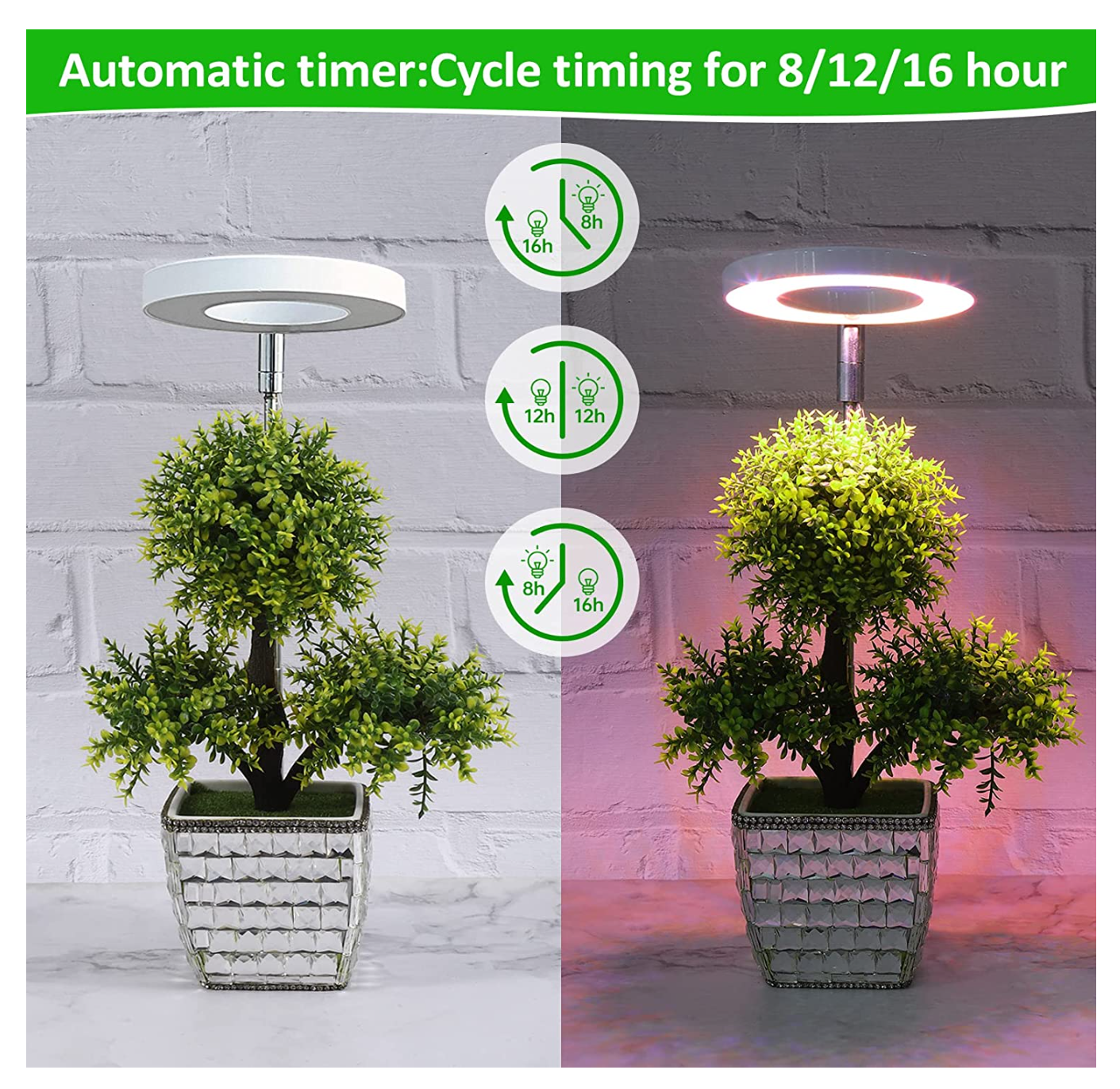 Full Spectrum Sunlike "Grow Light" for Small Indoor Plants - 10 Dimming Levels & Adjustable Height