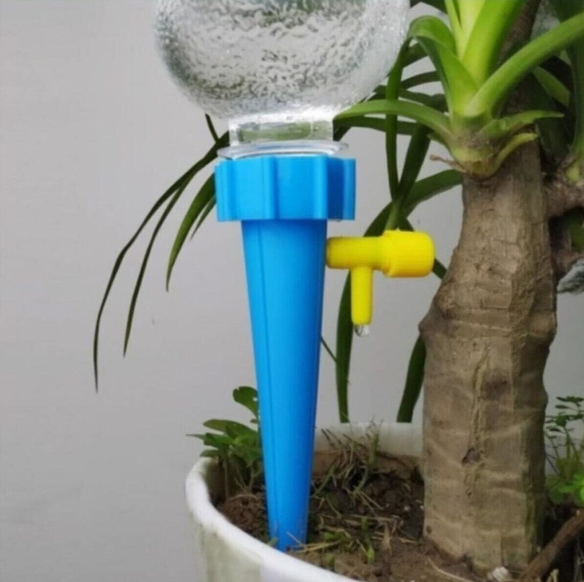 Plants Self Watering Stakes